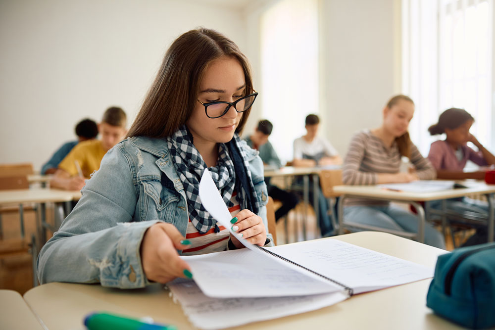 Estudiante de IDAE